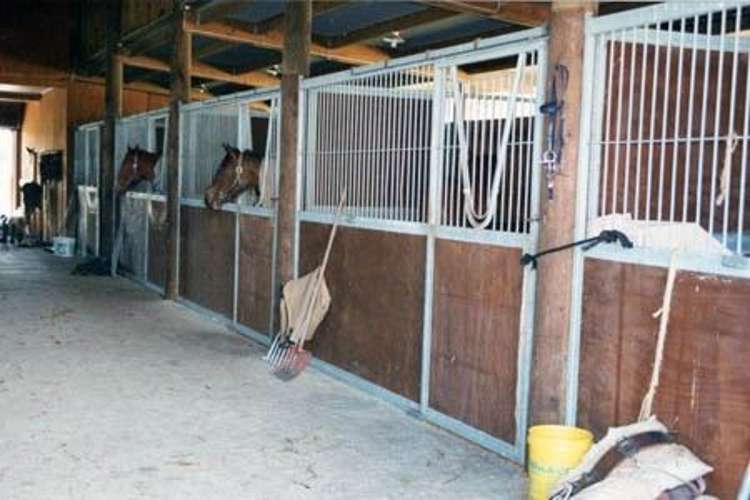 119 Saint Marys Road Waipu_8