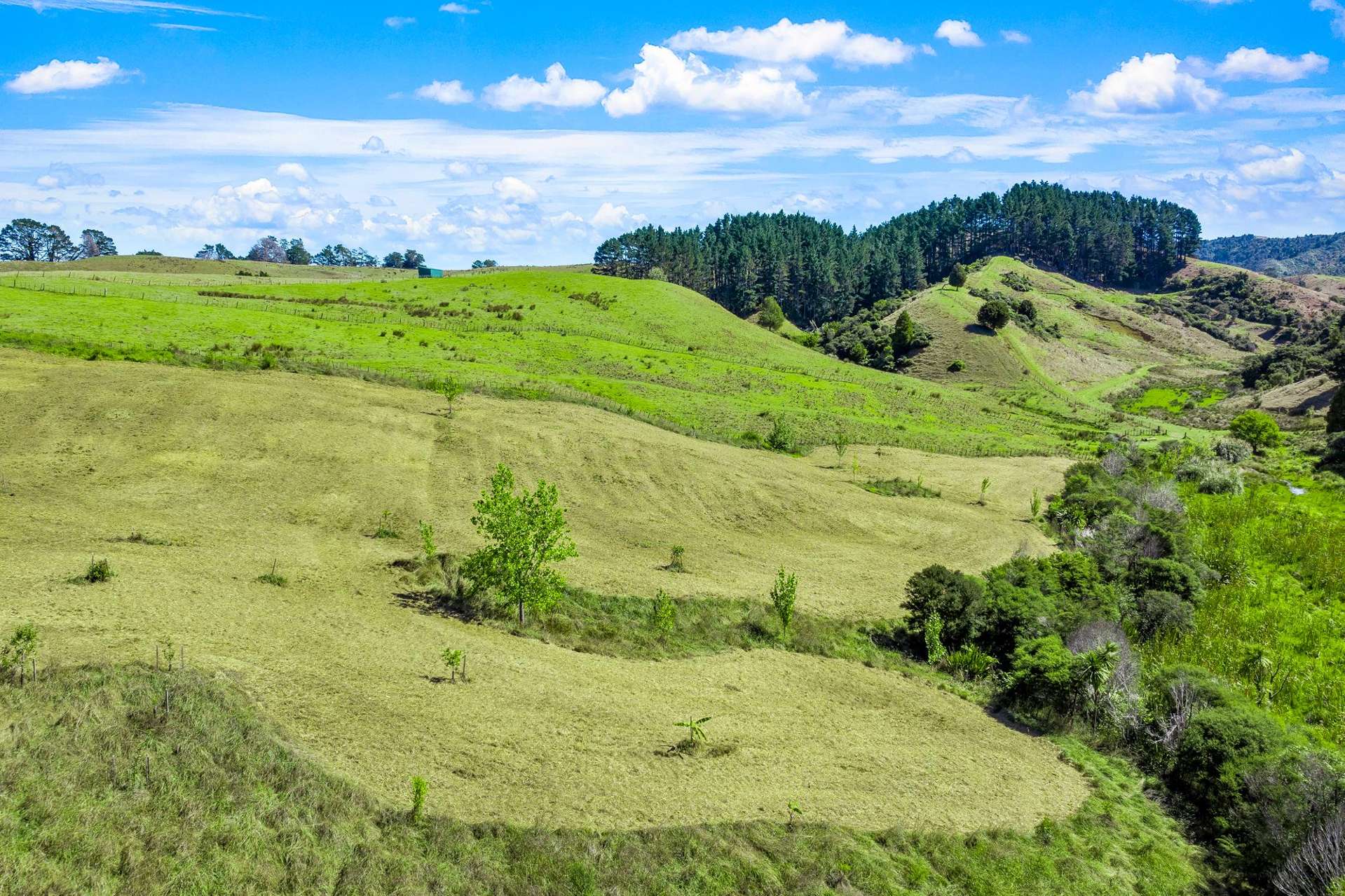 334c Komokoriki Hill Road Makarau_0