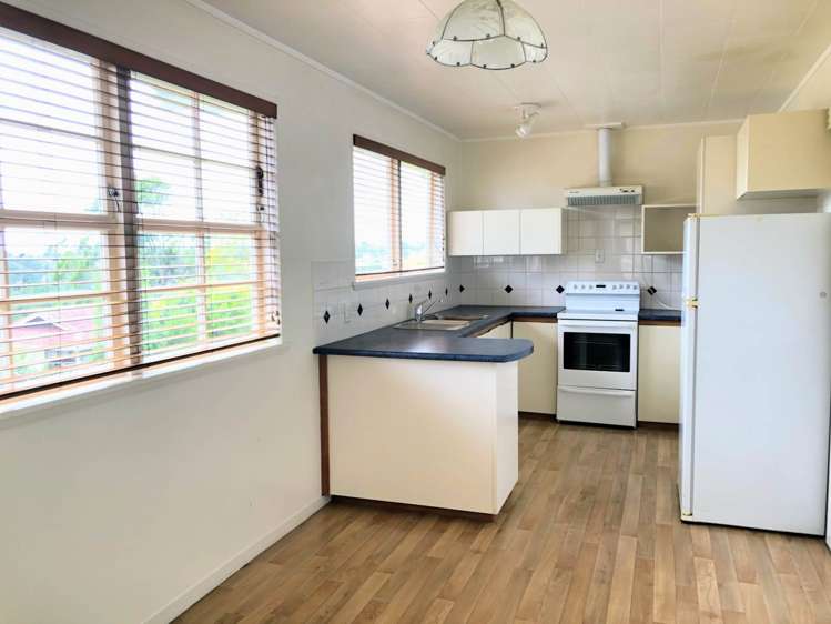 21 Eyre Street Henderson_4