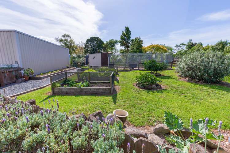 3 Front Miranda Road Waitakaruru_13