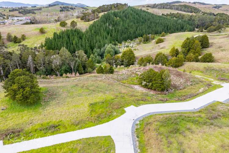 Whakapirau Road Maungaturoto_24