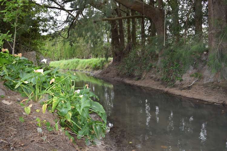 33 Mill Road Clive_5