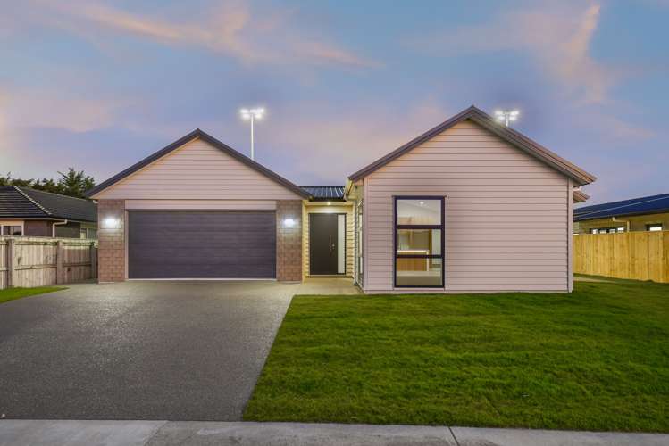 23 Hudson Place Paraparaumu_0