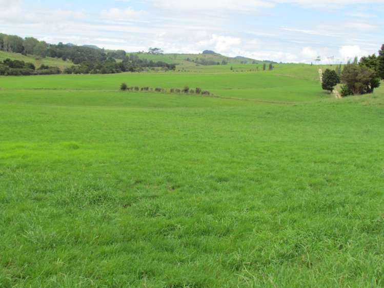 300 Gumtown Road Kamo_16