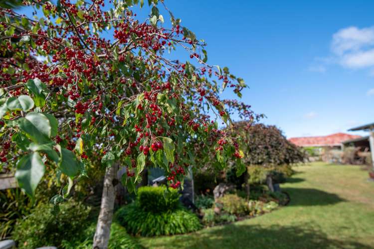 14 Frances Street Ngongotaha_18