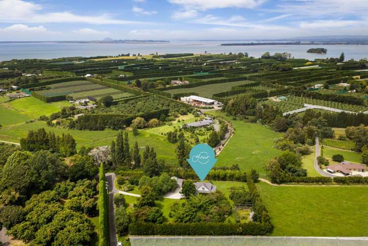 55E Pukakura Road Katikati_30