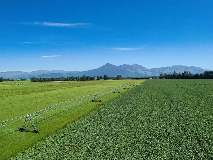 1710 Ealing Montalto Road Ashburton_12