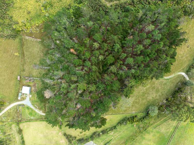 75 Old Parua Bay Road Parahaki_32