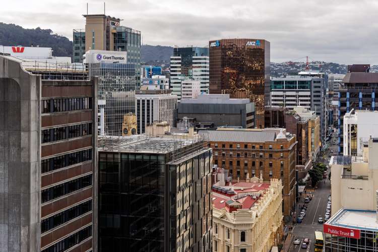 16c/9 Chews Lane Wellington Central_13