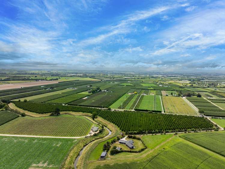 511 Te Aute Road Pakipaki_25