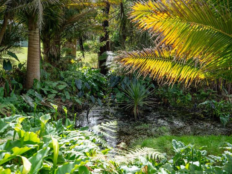 2A Lemon Grove Kerikeri_25