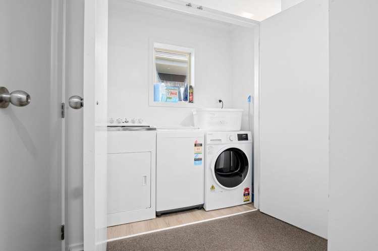219B Peachgrove Road Claudelands_13