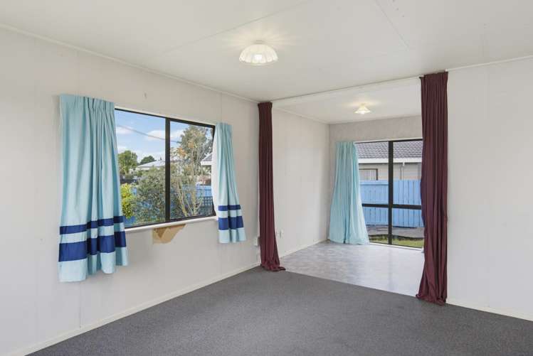 23 Douglas Street Levin_8