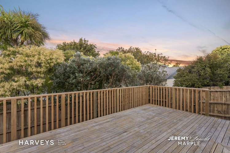 66c Woodglen Road Glen Eden_3