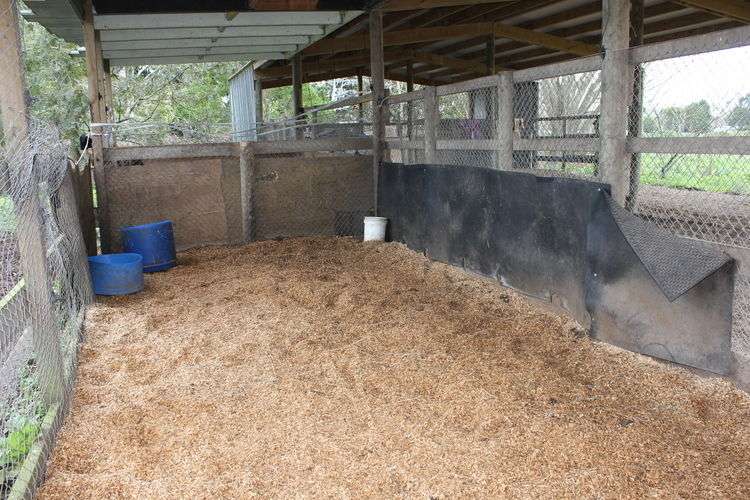 639 Hinuera Road Matamata_16