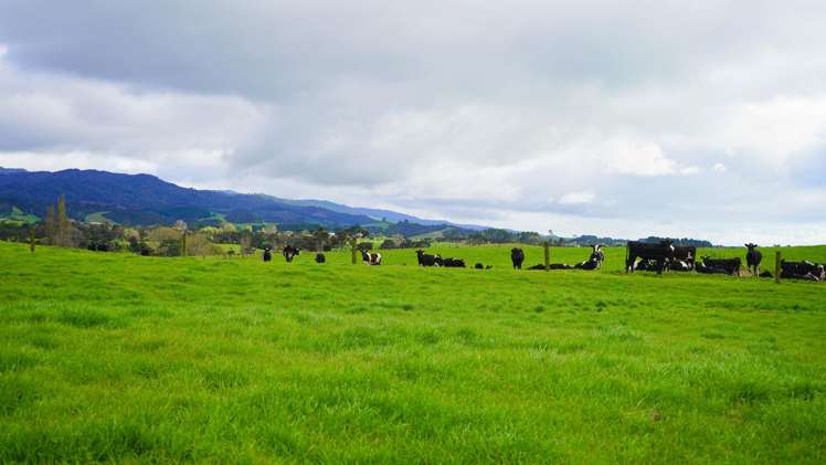 591D East Coast Road Kaiaua_10
