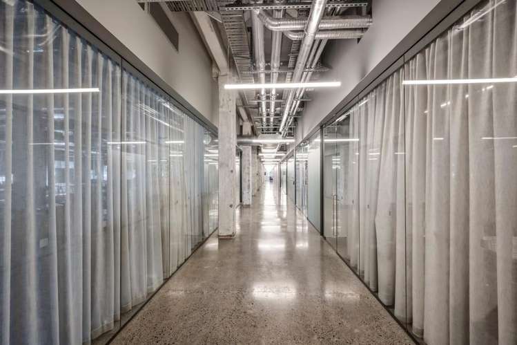 24 Balfour Road Parnell_5