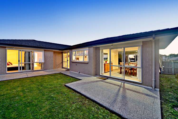 229 Jeffs Road Flat Bush_16