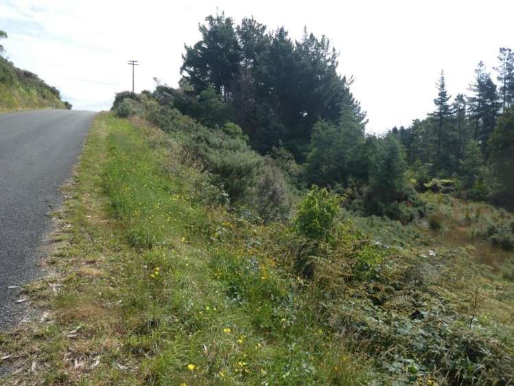 Keogans Road Hokitika_13