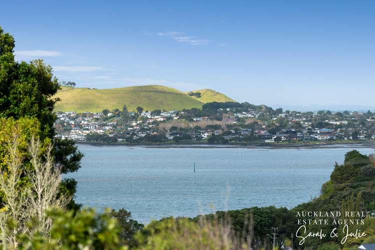 51 Belfast Street Hillsborough_44