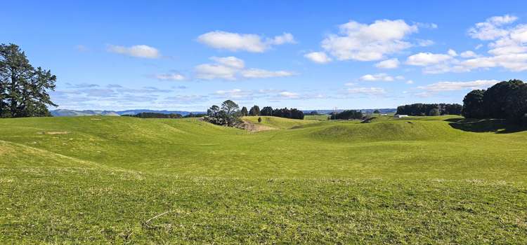 517 Te Waerenga Road Hamurana_15