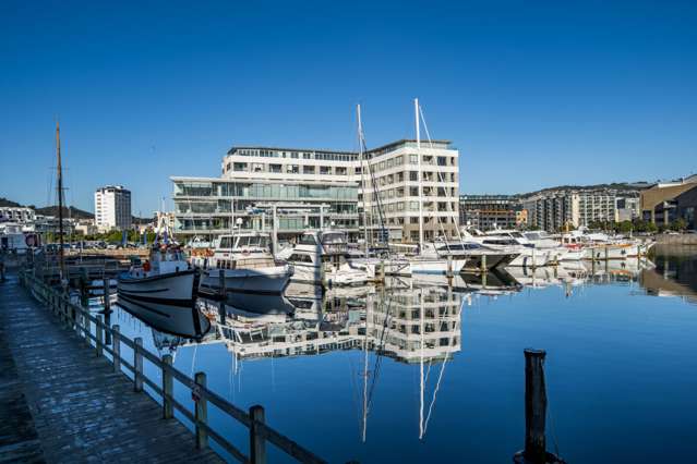 22 Herd Street Te Aro_1
