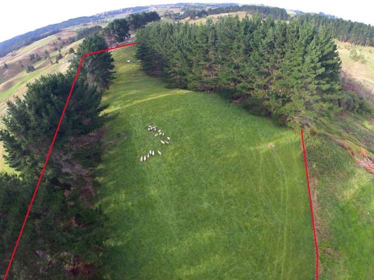 4349 Highway Pepepe_9