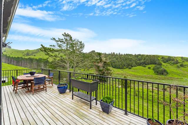 44 Guy Road Kaipara Flats_2