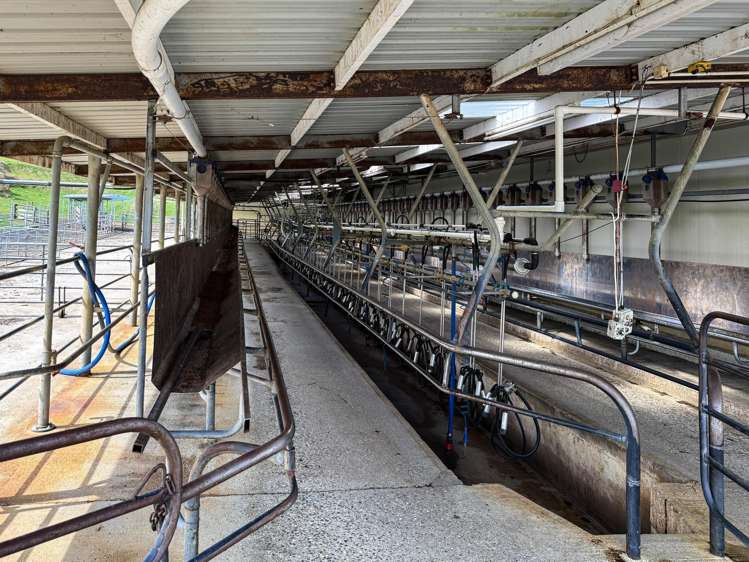 316 McDonald Road Pukerau_13