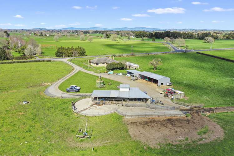 711 Horrell Road Morrinsville_4