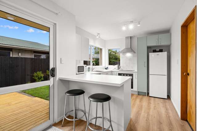 8A Janet Street Upper Riccarton_1