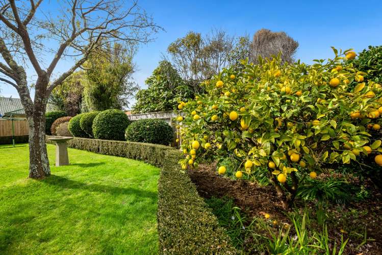 58 Cedar Drive Paraparaumu Beach_18