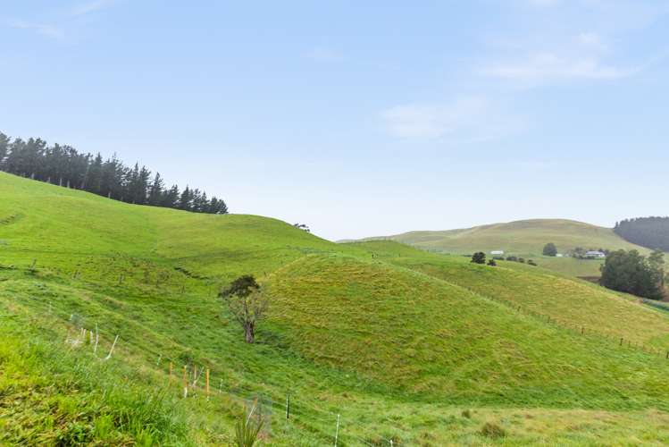 1228 Ohiti Road Crownthorpe_21