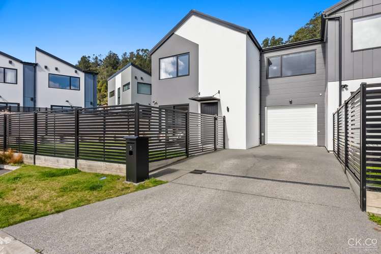 3 Harry Eruera Street Wallaceville_21