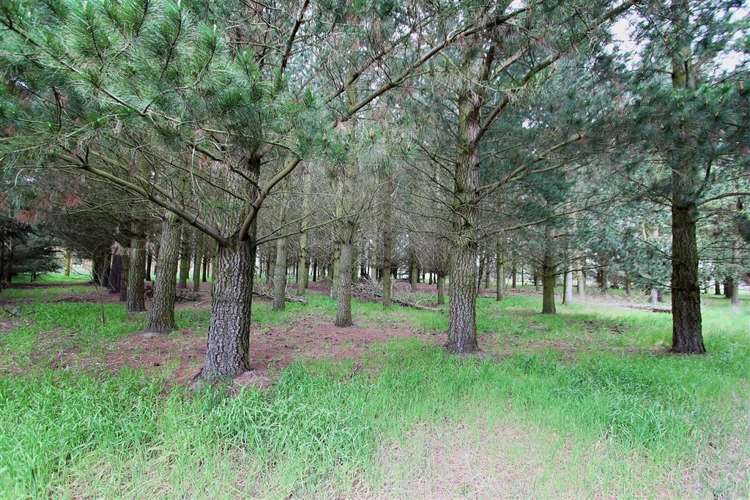 663 South Eyre Road Swannanoa_46