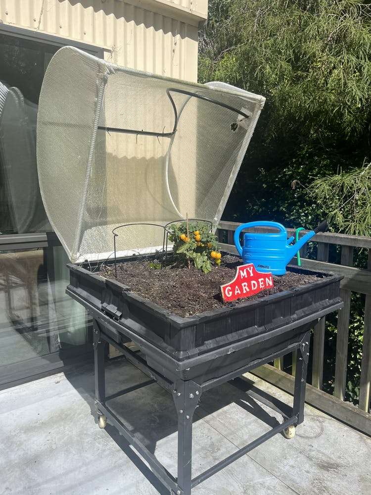 17a Serpentine Avenue Dunedin Central_8