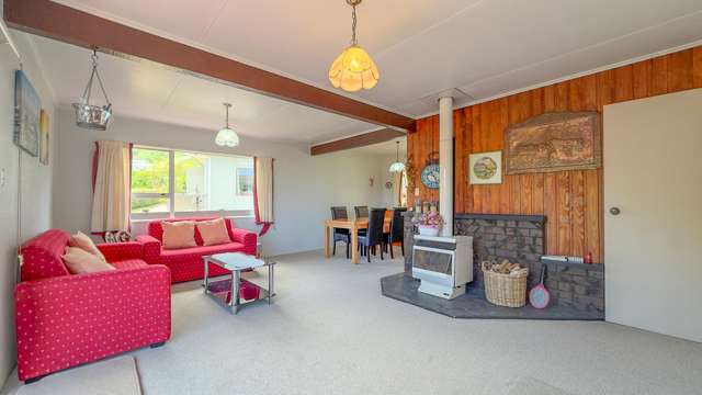 104 Hays Place Thames_3