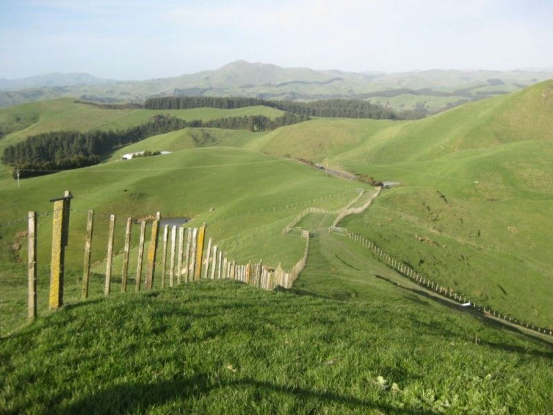 346 Waitahora Road Dannevirke_0