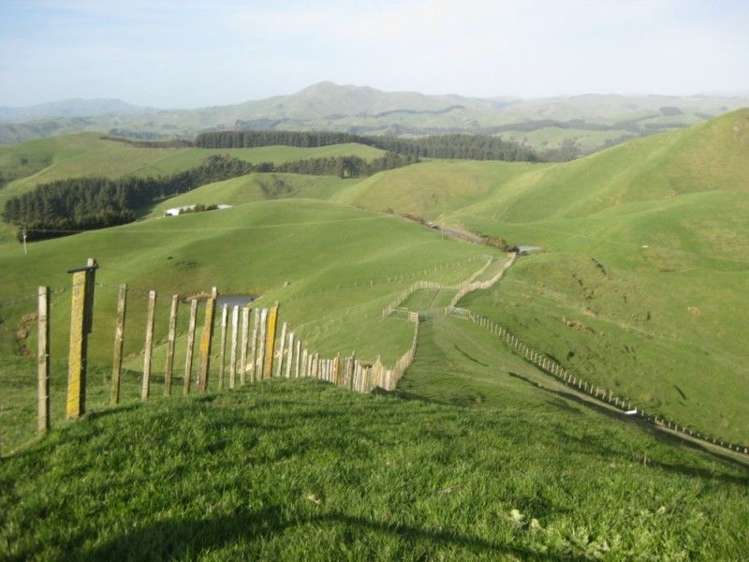 346 Waitahora Road Dannevirke_0