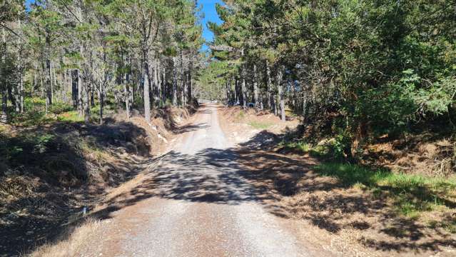 5318A State Highway 12 Kaikohe Rd2_2