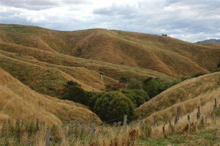 Waiti Road Tahuna_15