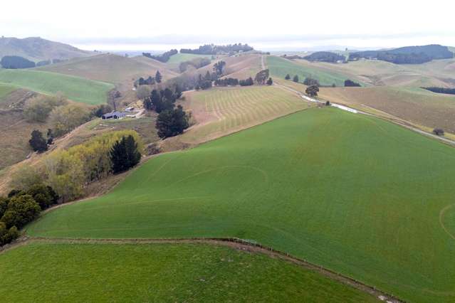 389 Mount Harris Road Ikawai_2