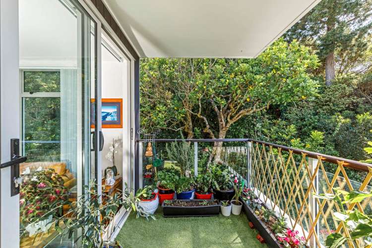 307/19 Bute Road Browns Bay_18