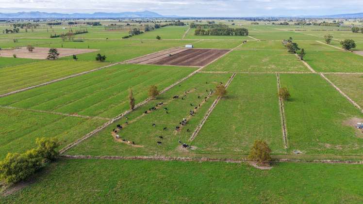 1338 State Highway 25 Pipiroa_10