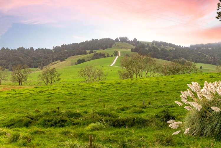 103 and 121 Radcliffe Road Tomarata Rodney Rural Property For