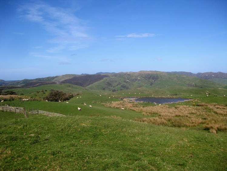 12271 Route 52 Pongaroa_18