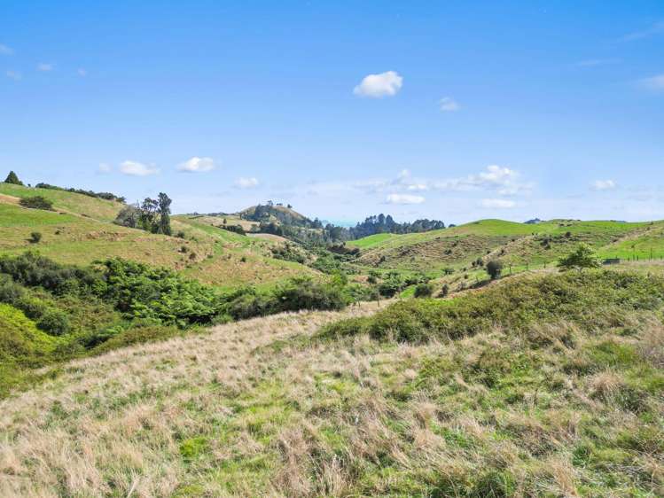 405F Rowe Road Ohauiti_9