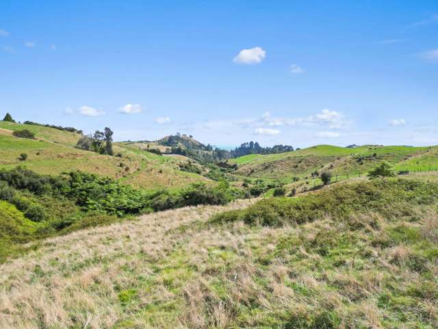 405F Rowe Road Ohauiti_4