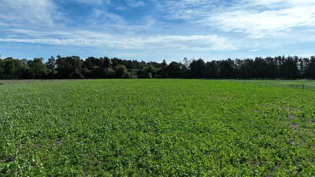 72 Taumata Island Road Taumata Island_2