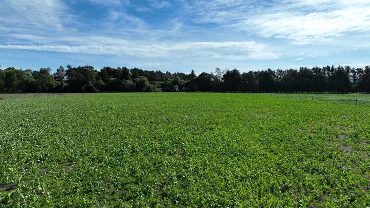 72 Taumata Island Road Taumata Island_2